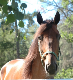 Random Shot 160705-1